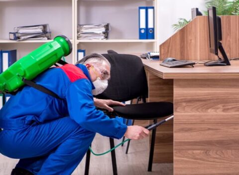 Your Choice For Office Pest Management Green Pest Management